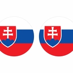r9993 Slovaquie flag rond