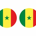 r9989 Senegal flag rond