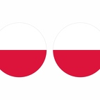 r9972 Pologne flag rond