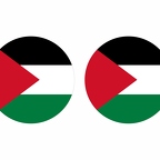 r9966 Palestine flag rond