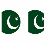 r9964 Pakistan flag rond