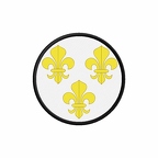 PR 10208 fleurdelysblanc flag rond