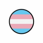 PR 10168 transgender flag rond
