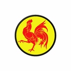 PR 10139 Wallonie flag rond