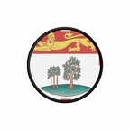 PR 10113 Ileduprinceedward flag rond