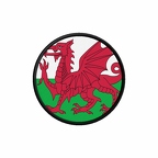 PR 10041 Paysdegalles flag rond