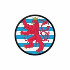 PR 9934 Luxemourglion flag rond