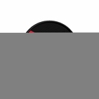 PR 9920 Jordanie flag rond