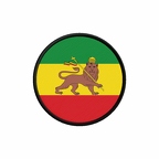 PR 9919 Ethiopielion flag rond
