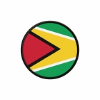 PR 9905 Guyana flag rond
