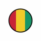 PR 9902 Guinee flag rond