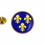 AX 10207 fleurdelysbleu flag rond