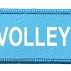 DCP 007 volley ball bleu blanc