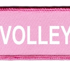 DCP 007 volley ball rose blanc