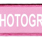 DCP 292 photographe rose blanc