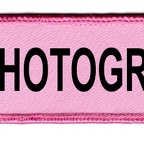 DCP 292 photographe rose noir