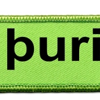 DCP 643 thurisaz gateway vert noir