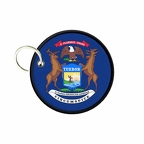 PC PR 10083 Michigan flag