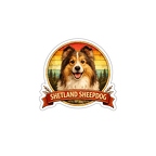r10348 Shetland Sheepdog