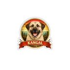r10350 kangal