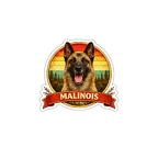 r10355 malinois belgian shepherd