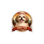 r10312 Shih Tzu