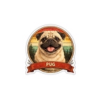r10306 Pug (Carlin)