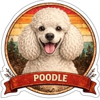 r10308 Poodle (Caniche —