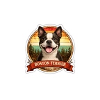 r10315 Boston Terrier Highland