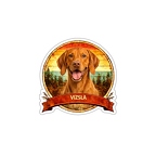 r10323 Vizsla   