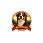 r10325 Bernese Mountain Dog