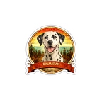 r10326 Dalmatian