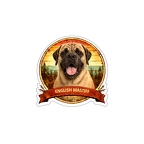 r10330 English Mastiff