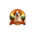 r10332 English Pointer