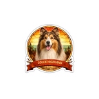 r10333 Collie Highland