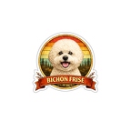 r10336 Bichon Frisé