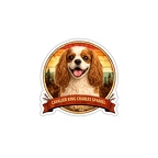 r10338 Cavalier King Charles Spaniel
