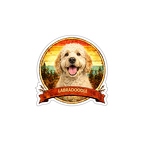 r10340 Labradoodle