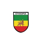 PBLVE 6091 Ethiopie lion