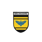 PBLVE 6628 Brecknockshire