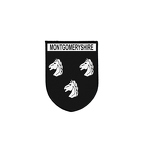 PBLVE 6635 Montgomeryshire