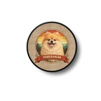 PR10309 Pomeranian