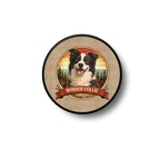 PR10311 Border Collie  