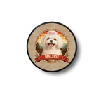 PR10339 Bichon Maltais Figo