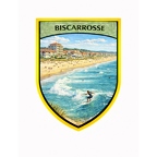 r10490 biscarosse