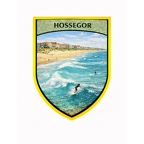 r10491 hossegor