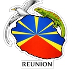 r10530 map reunion