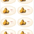 r10377 figue barbarie