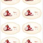 r10379 pitaya fruit dragon