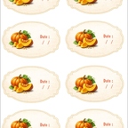 r10394 potiron courge butternut